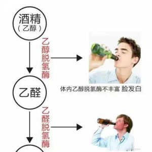 請問酒評君：不上頭的好酒有哪些？